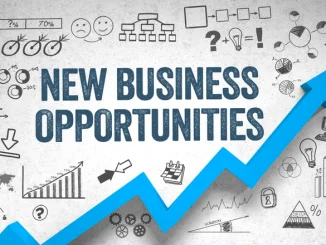 Business Opportunities in South Africa
