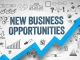 Business Opportunities in South Africa